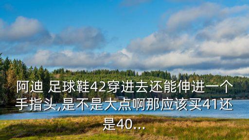 阿迪 足球鞋42穿進(jìn)去還能伸進(jìn)一個(gè)手指頭,是不是大點(diǎn)啊那應(yīng)該買(mǎi)41還是40...