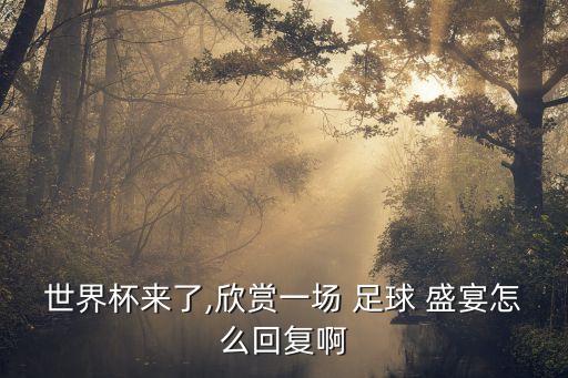 世界杯來了,欣賞一場(chǎng) 足球 盛宴怎么回復(fù)啊
