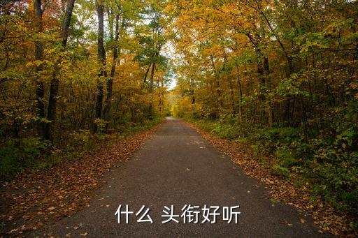 和足球有關(guān)的群頭銜,有關(guān)足球的群名