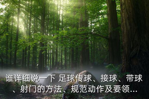 誰(shuí)詳細(xì)說(shuō)一下 足球傳球、接球、帶球、射門的方法、規(guī)范動(dòng)作及要領(lǐng)...