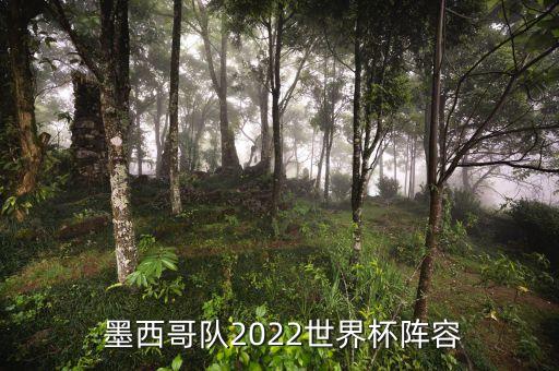  墨西哥隊(duì)2022世界杯陣容