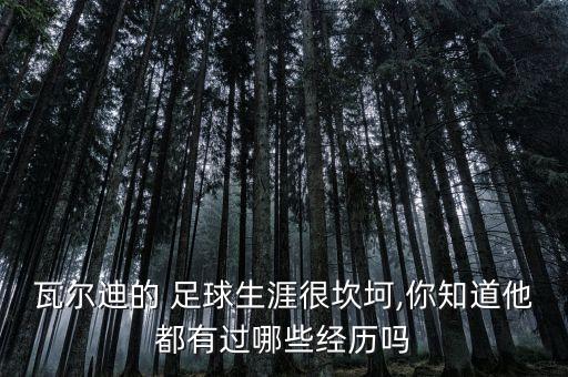 瓦爾迪的 足球生涯很坎坷,你知道他都有過哪些經歷嗎