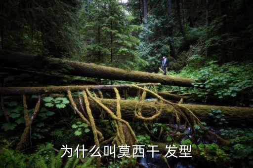 足球明星發(fā)型咋小編,發(fā)型有特點(diǎn)的足球明星