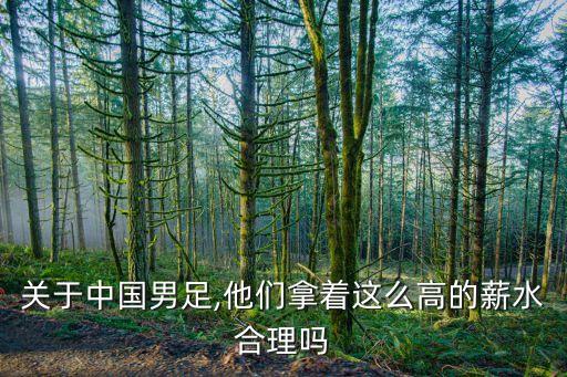 關(guān)于中國男足,他們拿著這么高的薪水合理嗎