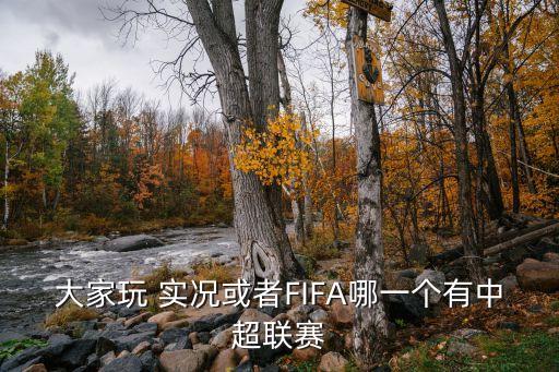 大家玩 實(shí)況或者FIFA哪一個有中超聯(lián)賽