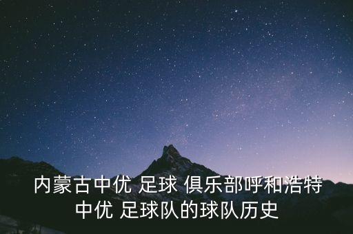 內(nèi)蒙古黑馬足球俱樂(lè)部有限公司,山東泰山足球俱樂(lè)部有限公司