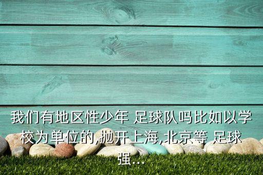 我們有地區(qū)性少年 足球隊(duì)嗎比如以學(xué)校為單位的,拋開上海,北京等 足球強(qiáng)...