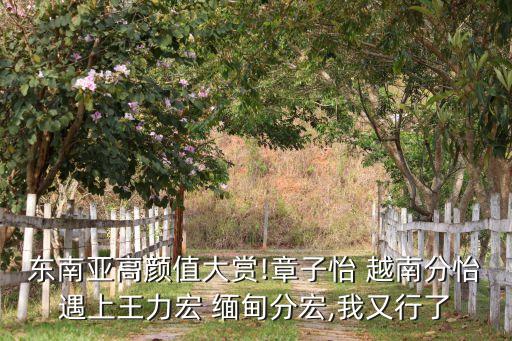 東南亞高顏值大賞!章子怡 越南分怡遇上王力宏 緬甸分宏,我又行了