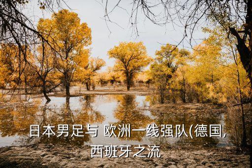 日本足球在歐洲實(shí)力