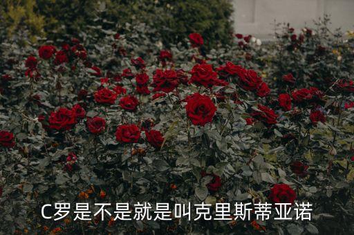 足球世俱杯 c羅,世俱杯決賽c羅上場了嗎