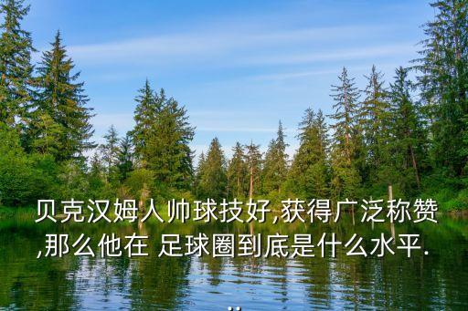  貝克漢姆人帥球技好,獲得廣泛稱贊,那么他在 足球圈到底是什么水平...