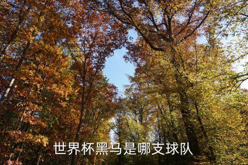 摩納哥的足球