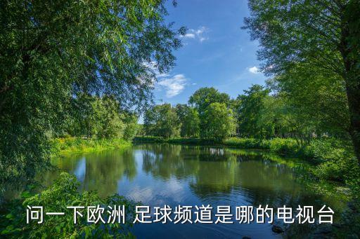 問一下歐洲 足球頻道是哪的電視臺