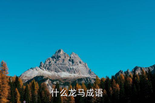 足球龍成