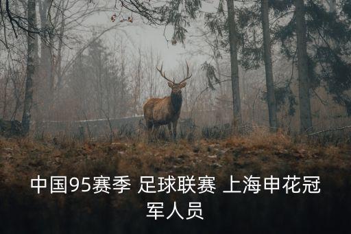 中國95賽季 足球聯(lián)賽 上海申花冠軍人員