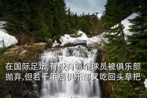 在國際足壇,有沒有哪個球員被俱樂部拋棄,但若干年后俱樂部又吃回頭草把...