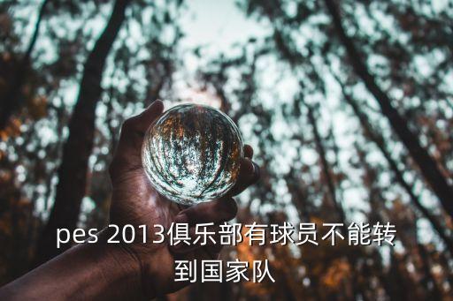 實況足球2013綠茵修改國籍進不了