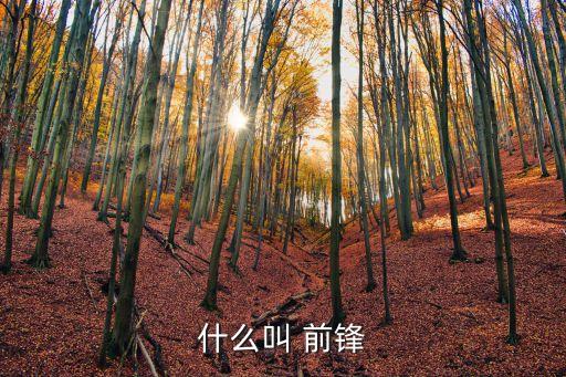 足球前鋒的術(shù)語(yǔ),足球解說(shuō)術(shù)語(yǔ)大全詳細(xì)