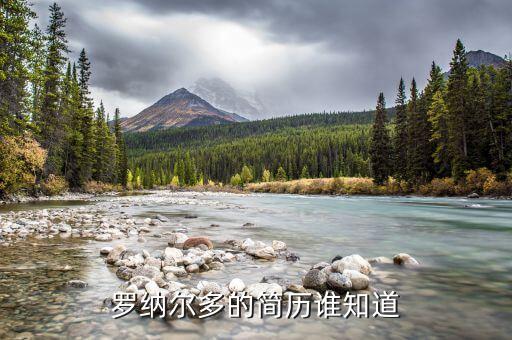 羅納爾多的簡(jiǎn)歷誰(shuí)知道