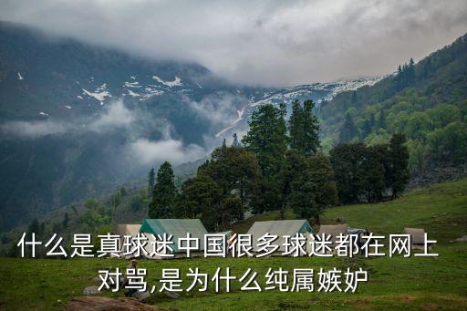 什么是真球迷中國(guó)很多球迷都在網(wǎng)上 對(duì)罵,是為什么純屬嫉妒