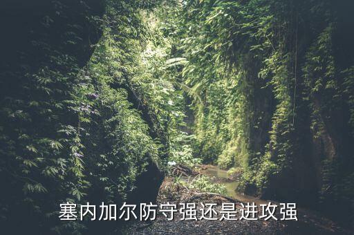 塞內(nèi)加爾防守強(qiáng)還是進(jìn)攻強(qiáng)