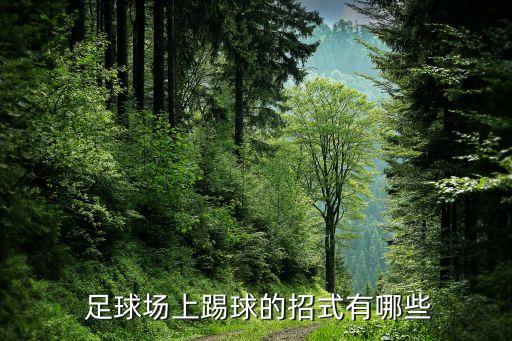  足球場上踢球的招式有哪些