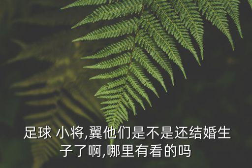  足球 小將,翼他們是不是還結(jié)婚生子了啊,哪里有看的嗎