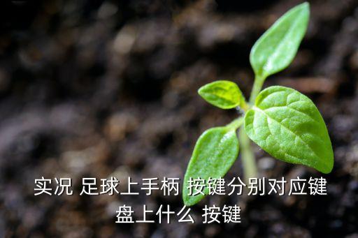  實(shí)況 足球上手柄 按鍵分別對(duì)應(yīng)鍵盤上什么 按鍵