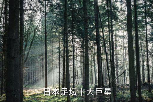  日本足壇十大巨星