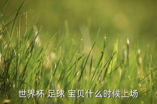 世界杯 足球 寶貝什么時(shí)候上場(chǎng)