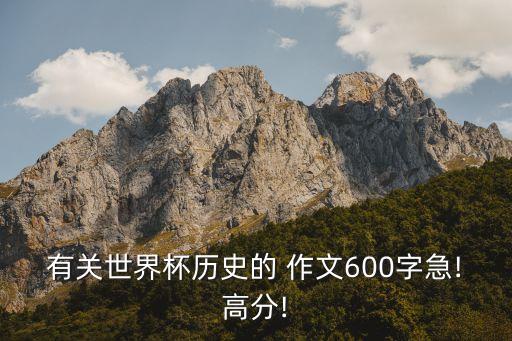 有關(guān)世界杯歷史的 作文600字急!高分!