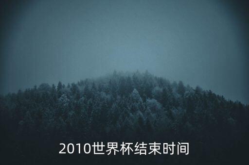 2010世界杯結束時間