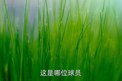 拜仁足球球鞋,足球球鞋哪個(gè)品牌最好