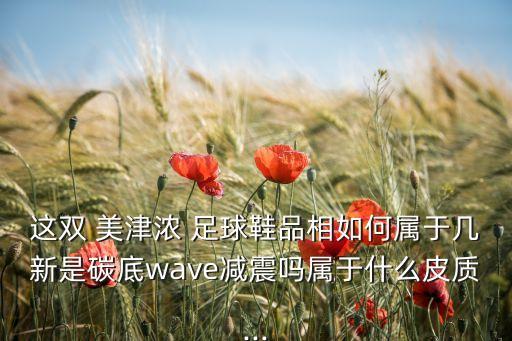 這雙 美津濃 足球鞋品相如何屬于幾新是碳底wave減震嗎屬于什么皮質(zhì)...