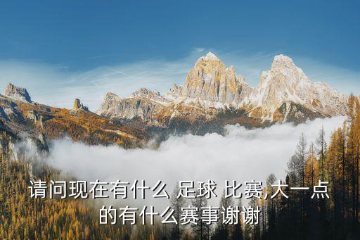 請問現(xiàn)在有什么 足球 比賽,大一點(diǎn)的有什么賽事謝謝