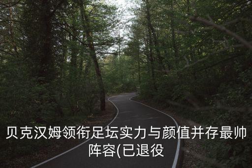 貝克漢姆領(lǐng)銜足壇實(shí)力與顏值并存最帥陣容(已退役