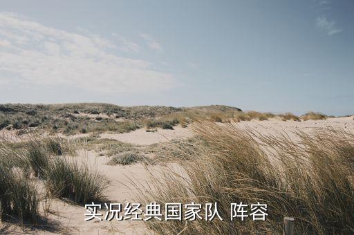實(shí)況經(jīng)典國(guó)家隊(duì) 陣容