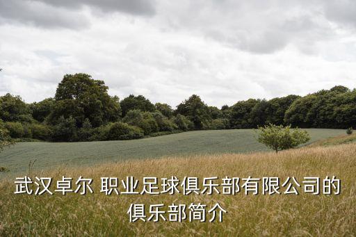武漢卓爾 職業(yè)足球俱樂部有限公司的俱樂部簡介