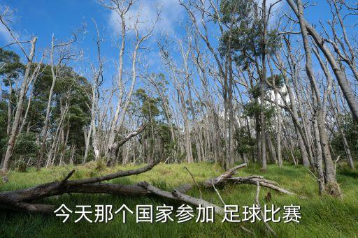 南美足球世界杯預(yù)選賽,2022南美世界杯預(yù)選賽積分榜
