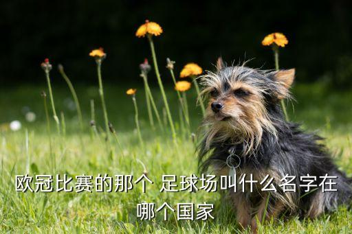 歐冠比賽的那個(gè) 足球場(chǎng)叫什么名字在哪個(gè)國(guó)家