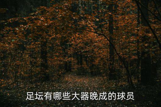 足壇有哪些大器晚成的球員