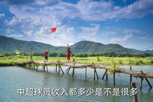  中超球員收入都多少是不是很多