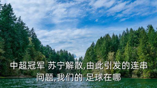 蘇寧賬號(hào)看足球,蘇寧足球小鎮(zhèn)最新消息