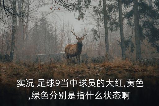  實況 足球9當中球員的大紅,黃色,綠色分別是指什么狀態(tài)啊