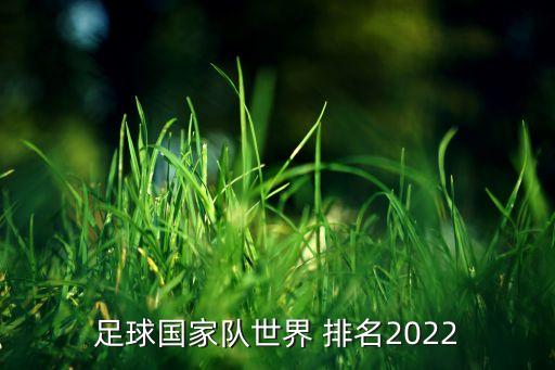 足球國(guó)家隊(duì)世界 排名2022