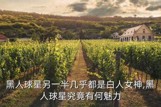 黑人球星另一半幾乎都是白人女神,黑人球星究竟有何魅力