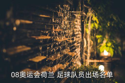 08奧運(yùn)會(huì)荷蘭 足球隊(duì)員出場(chǎng)名單