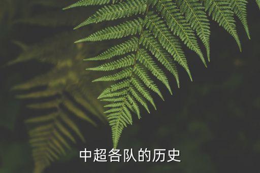 中超各隊(duì)的歷史