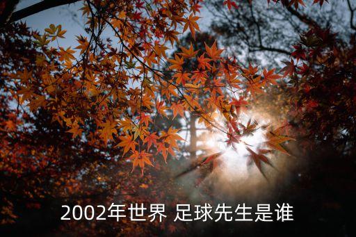 2002年世界 足球先生是誰(shuí)