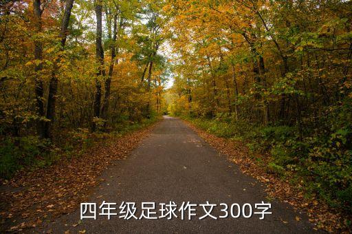 四年級足球作文300字